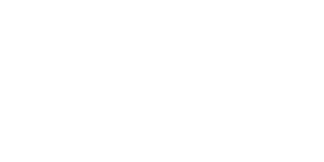 Gaughan Group